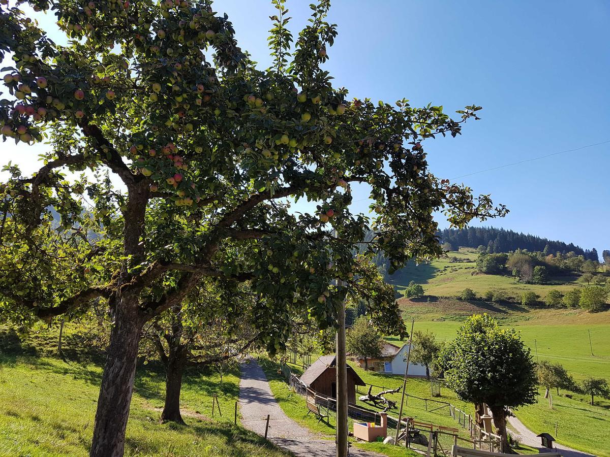 Maierhof Oberried (Breisgau) Exterior photo